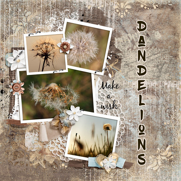 Dandelions