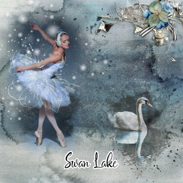 Swan Lake