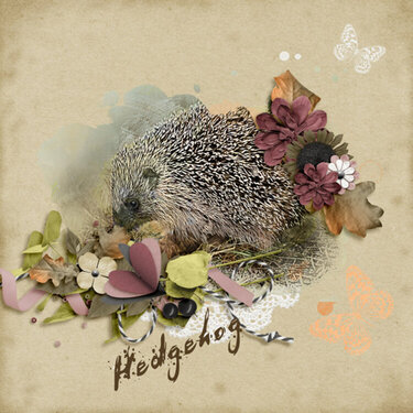 Hedgehog