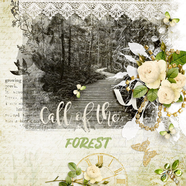 Call of the Forest