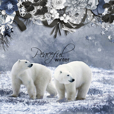 Peaceful Polar Bears