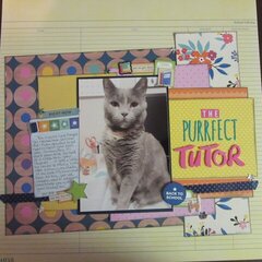 The Purrfect Tutor
