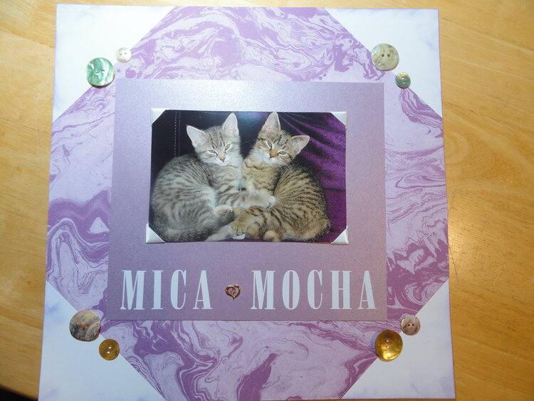 Mica and Mocha