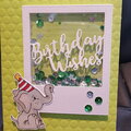 Elephant shaker birthday card