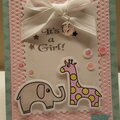 Welcome baby girl card