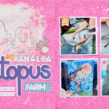 Kanaloa Octopus Farm