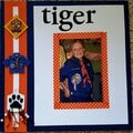 Tiger Advancement