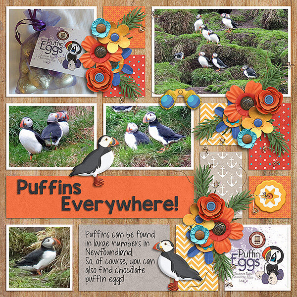 Puffins Everywhere