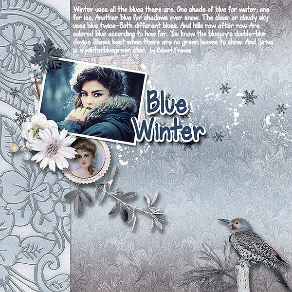 Blue Winter