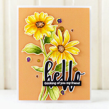 Hello Card | Altenew