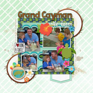 Grand Cayman Turtle Farm