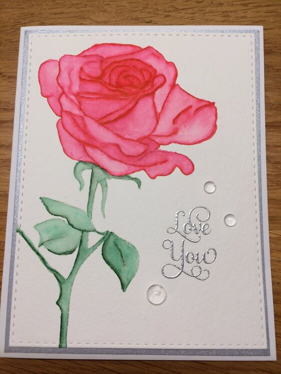 Sketchy Rose Card