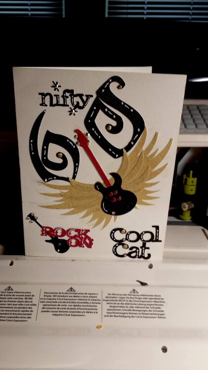 Nifty 60 Cool Cat