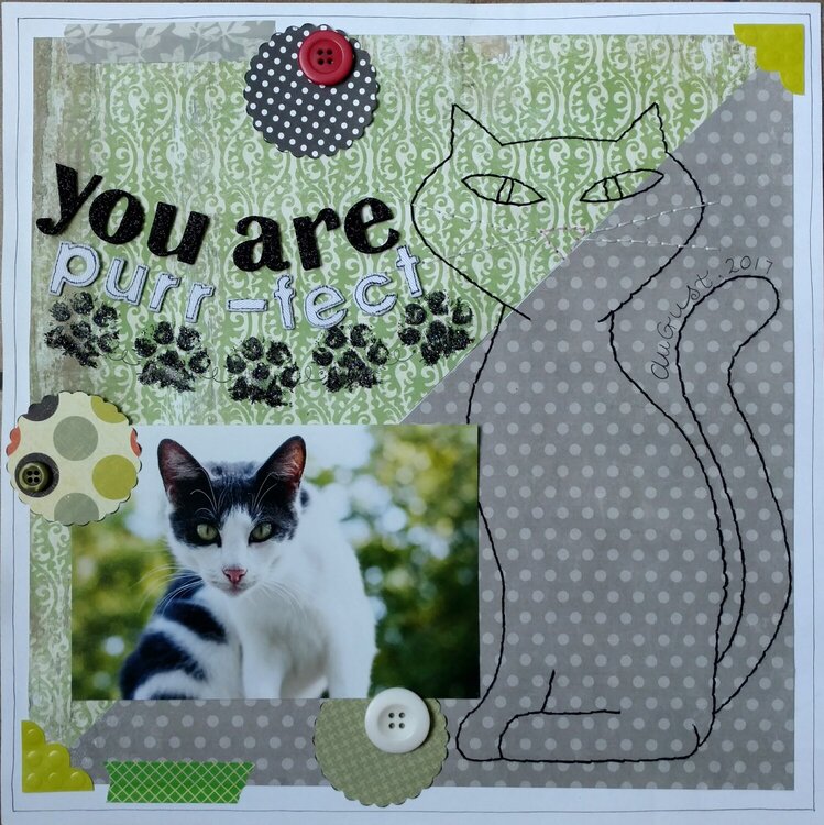 You are purr-fect
