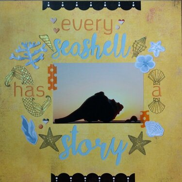 Every Seashell Has a Story