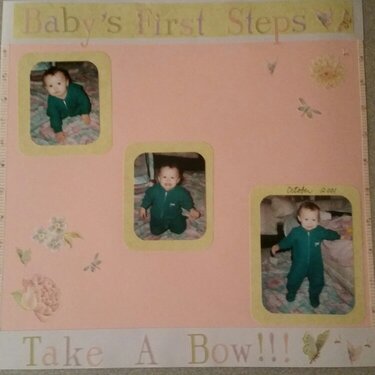 Baby&#039;s First Steps