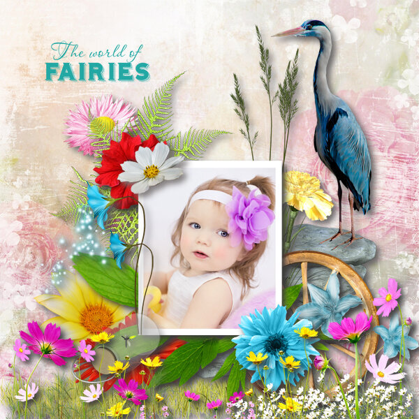 The world of fairies