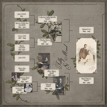 My Maternal Family Tree