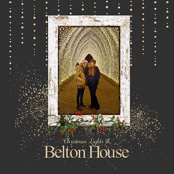 Christmas Lights at Belton House