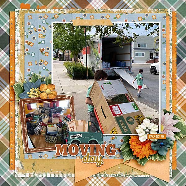 Moving Day Collection by Aimee Harrison