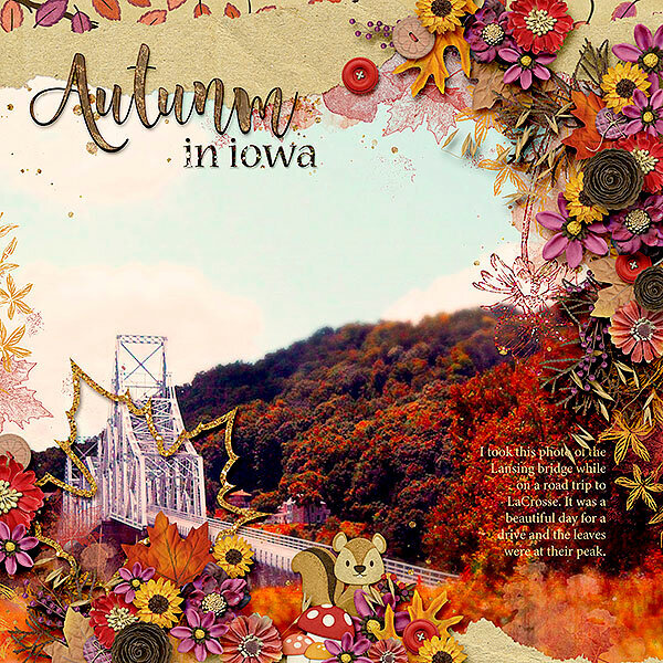 Autumn in Iowa