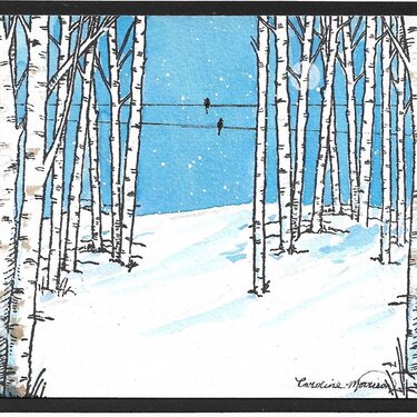 Snowy Birches