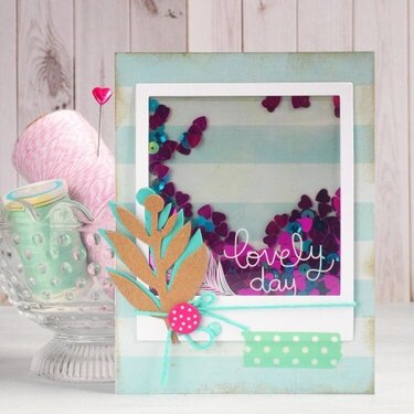 Shaker Card - DT Sizzix