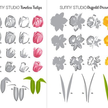 Sunny Studio Timeless Tulips &amp; Daffodil Dreams Stamping Guide