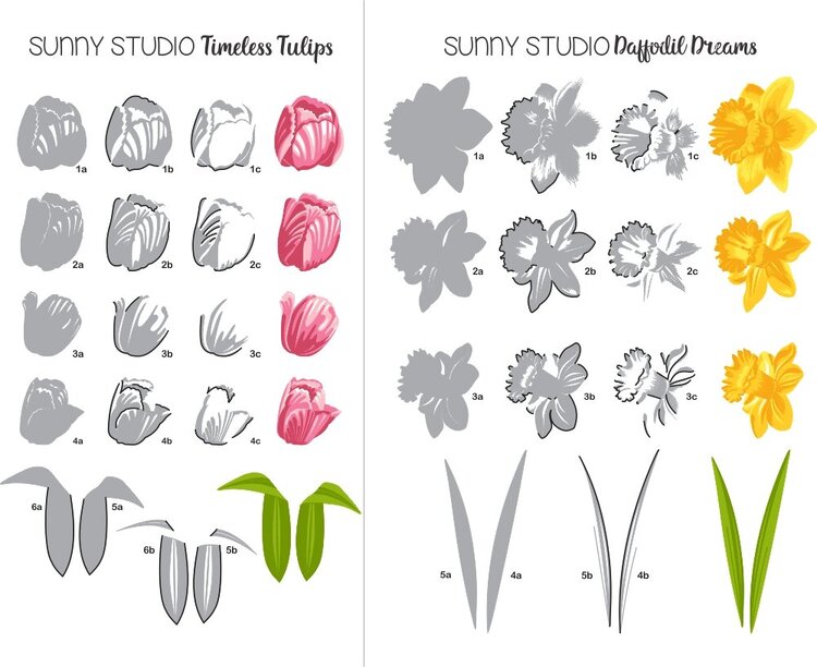 Sunny Studio Timeless Tulips &amp; Daffodil Dreams Stamping Guide