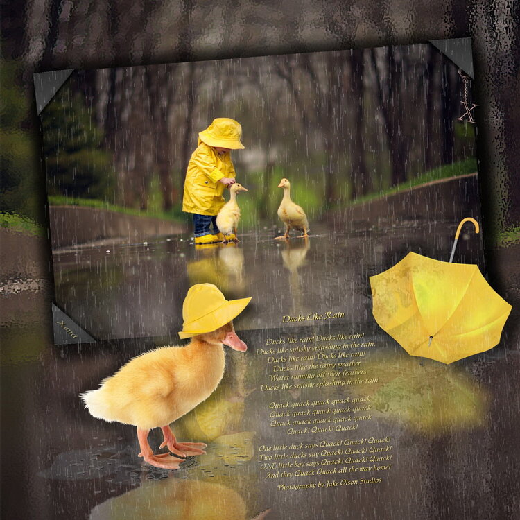Ducks Like Rain