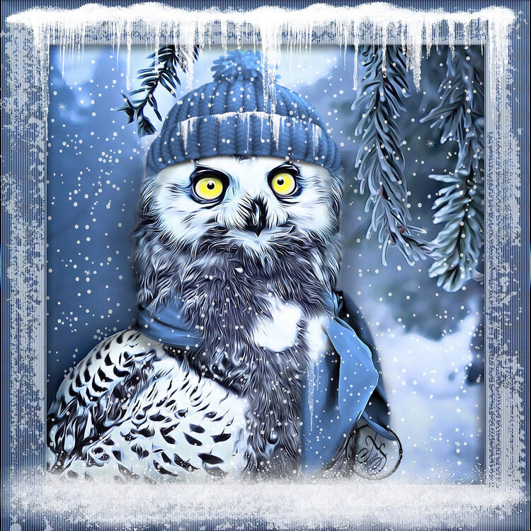 Winter Owl Framed
