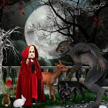 Full Moon Night in Winter