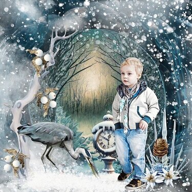 A Lovely Enchanted Winter 
