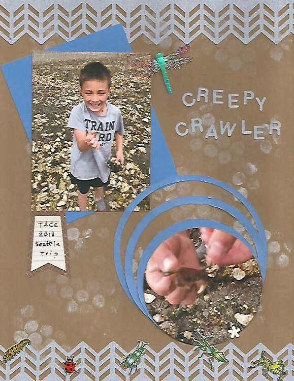 Creepy Crawler