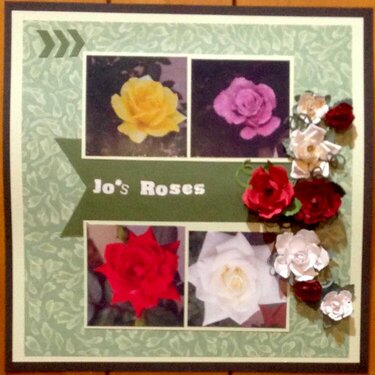 Jo&#039;s Roses by Ural