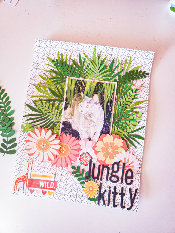 Jungle Kitty