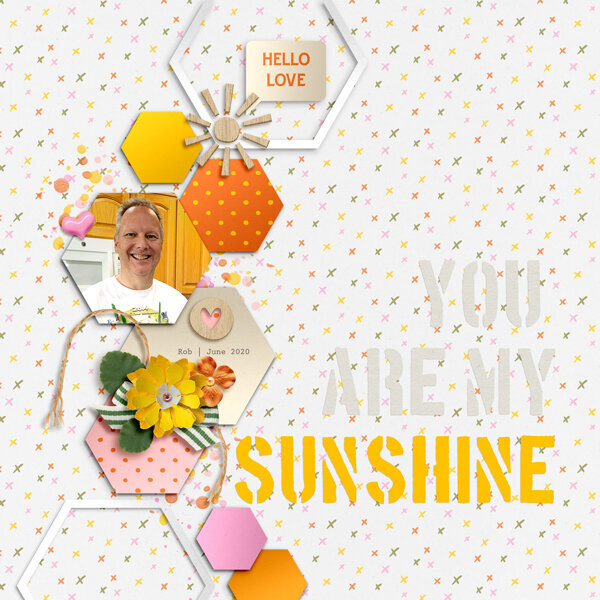 you are my sunshine