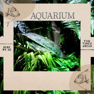 Aquarium Cover