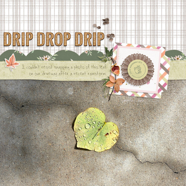 Drip Drop Drip