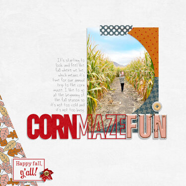 Corn Maze Fun