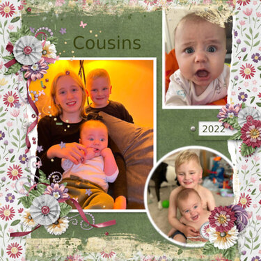Cousins 2022