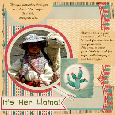 It&#039;s Her Llama!
