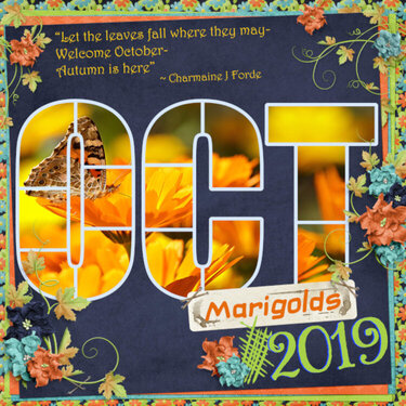 October Marigolds