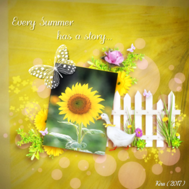Every summer has a story...