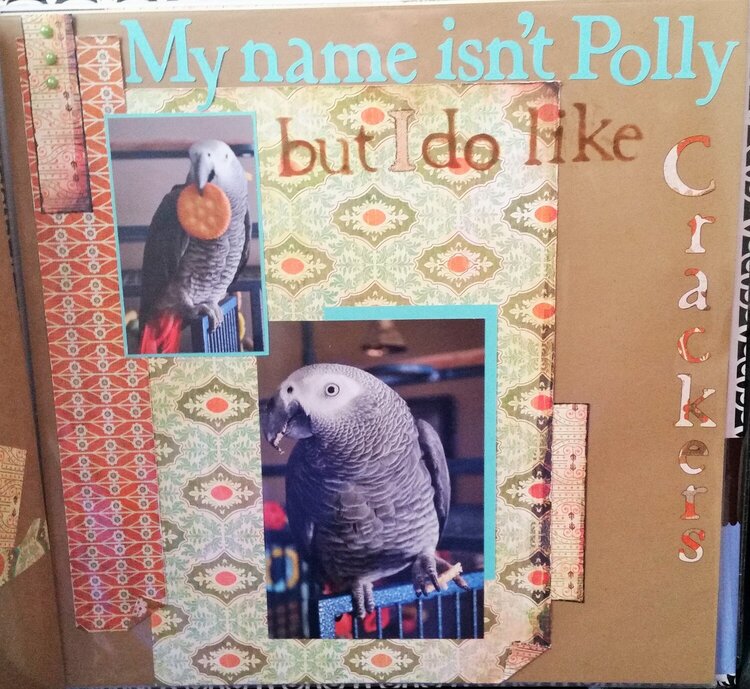 My Name Isn&#039;t Polly