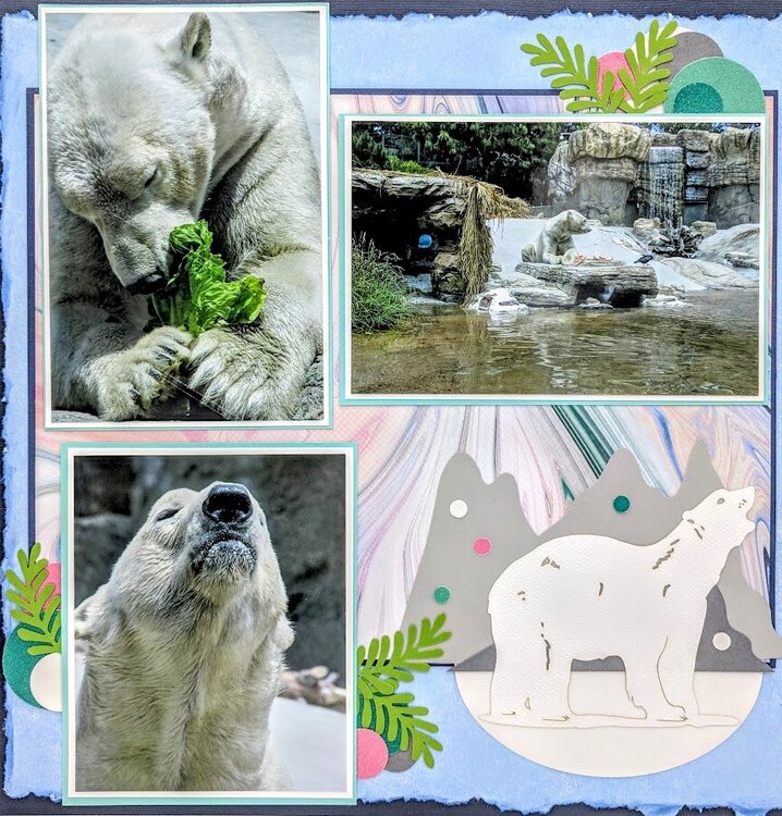 Polar Bear Zoo Layout