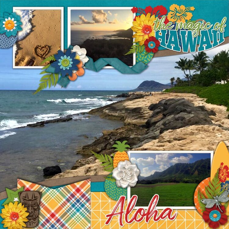 Connie Prince - Travelogue - Hawaii
