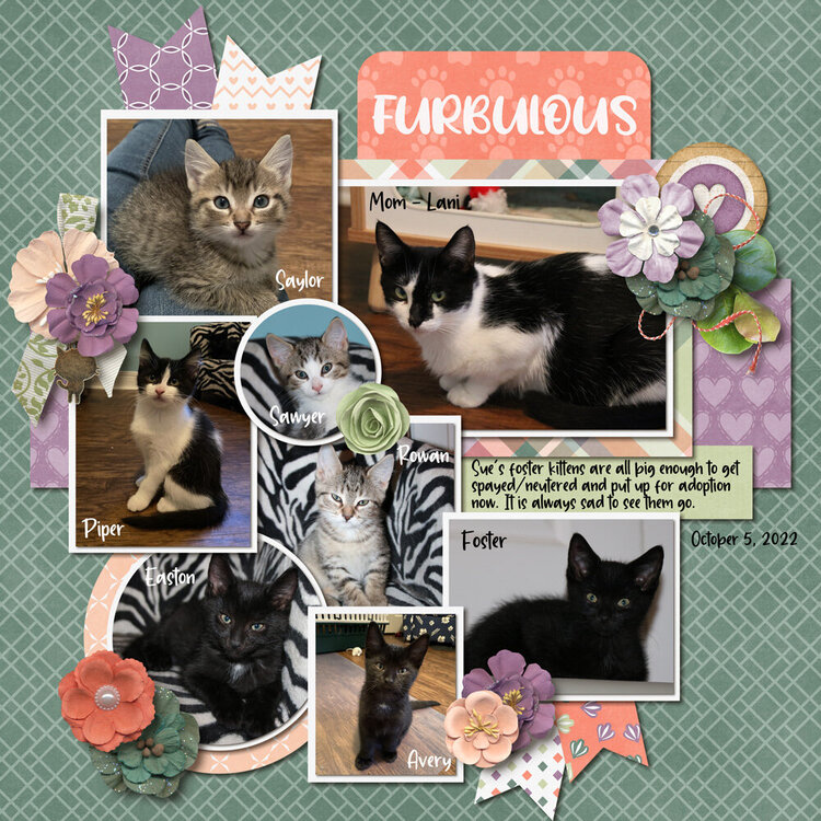 October 2022 Template Bundle Cattitude Project Idea Scrapbook com