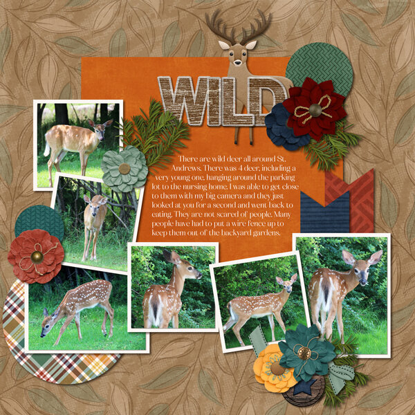 Connie Prince - August 2023 Template Bundle - Outdoors Hunting