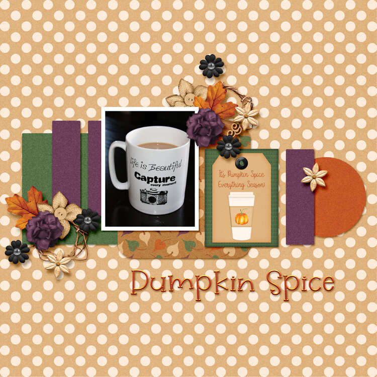 Dandelion Dust Designs - Pumpkin Spice